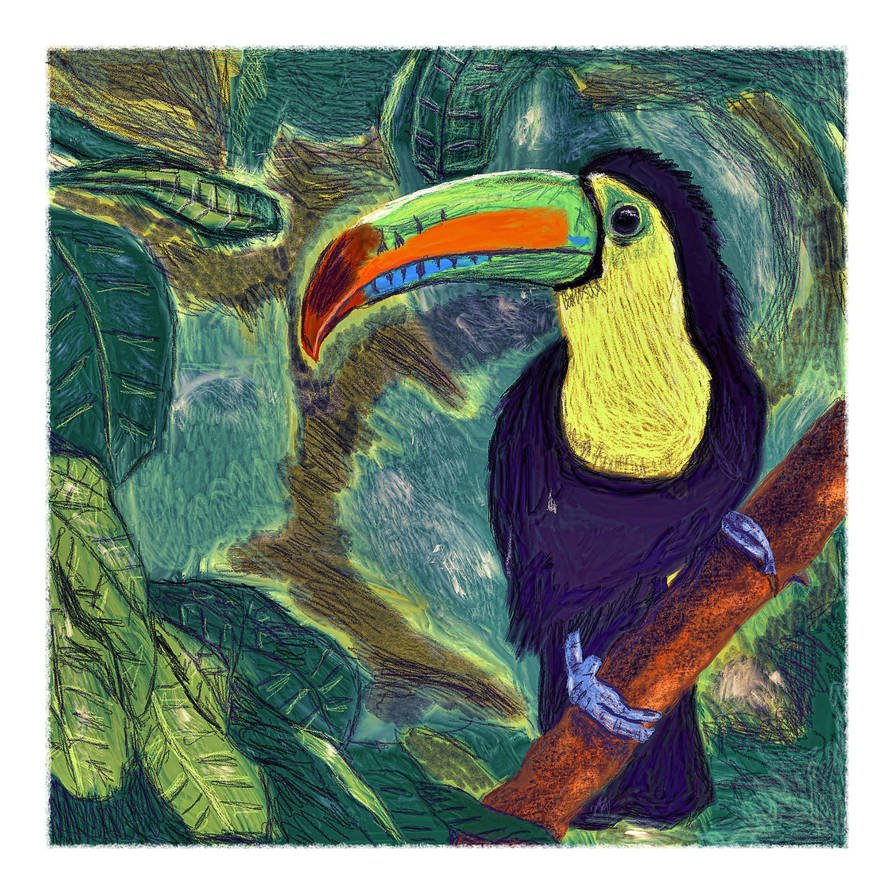 Toucan